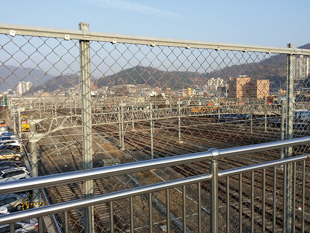 resize7810 写真: resize7810
