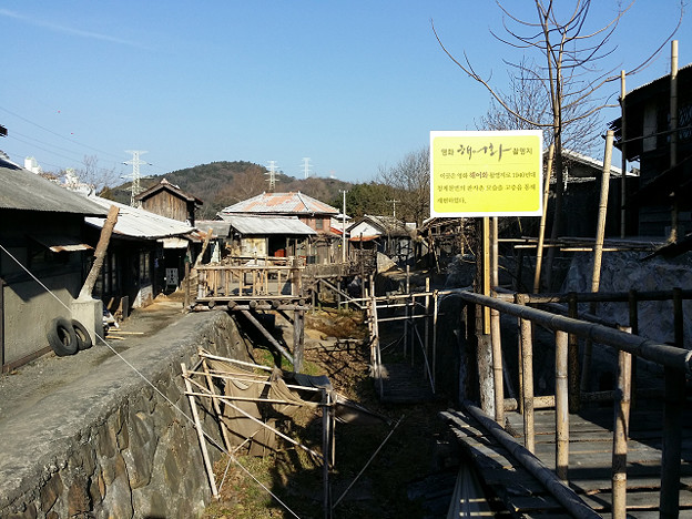 resize7847 写真: resize7847