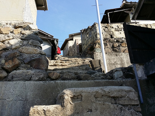 resize7863 写真: resize7863