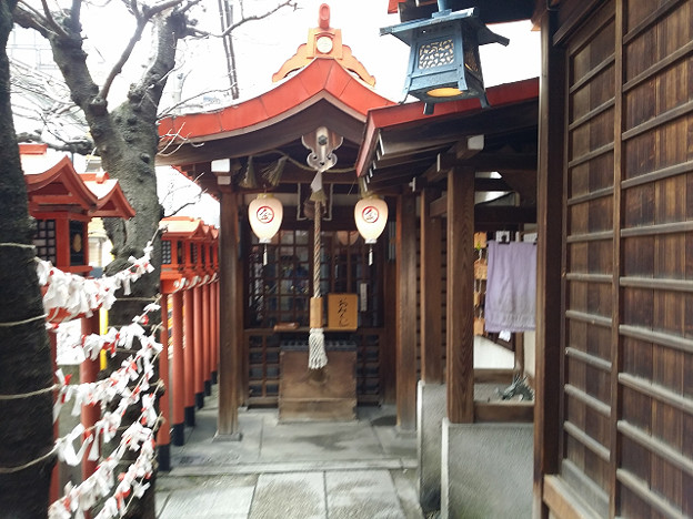 resize8227 写真: resize8227
