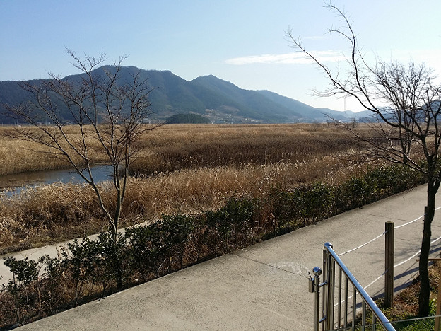 resize7960 写真: resize7960