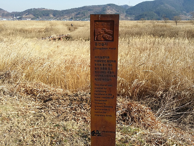 resize7963 写真: resize7963