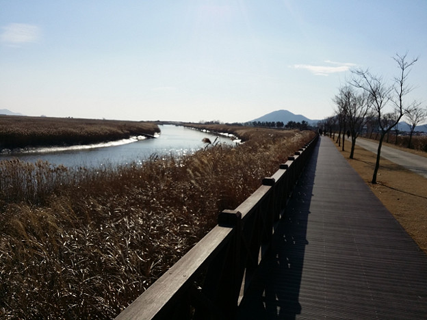 resize7967 写真: resize7967