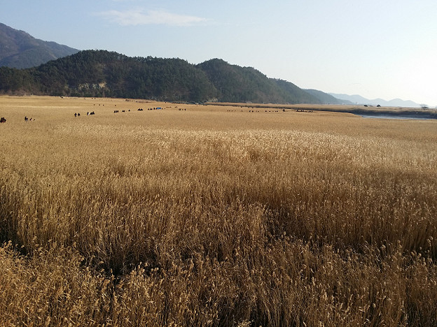 resize7978 写真: resize7978