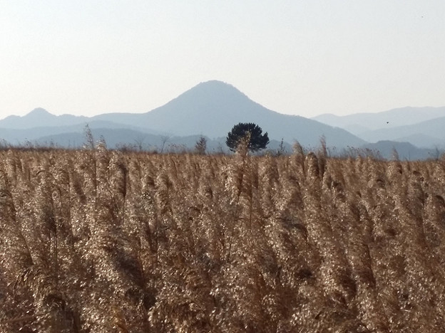 resize7982 写真: resize7982