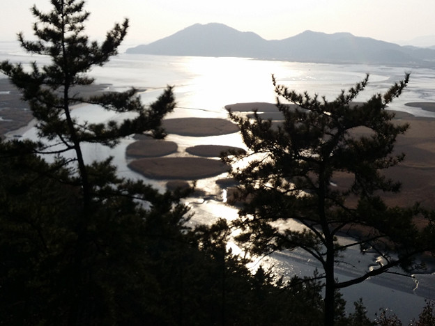 resize8001 写真: resize8001