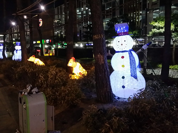 resize8020 写真: resize8020