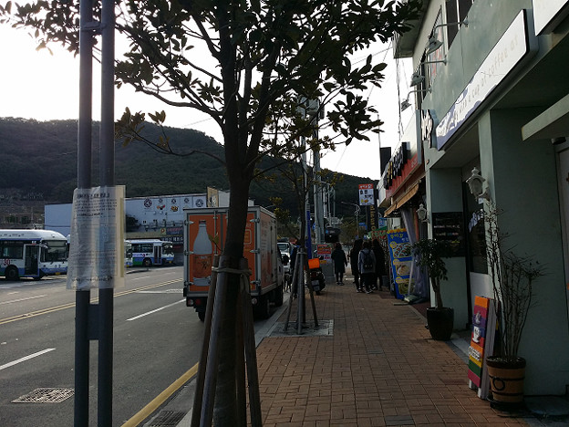 resize8089 写真: resize8089