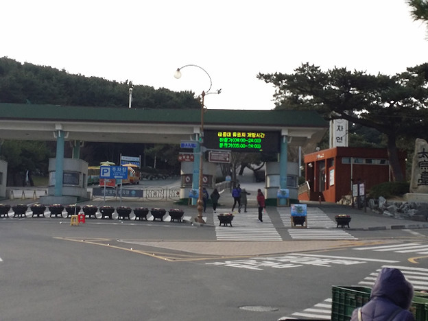 resize8093 写真: resize8093
