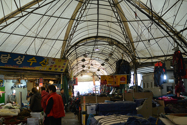 resize8300 写真: resize8300