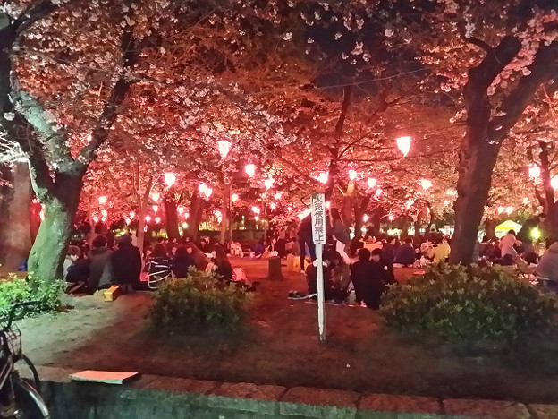 resize8858 写真: resize8858