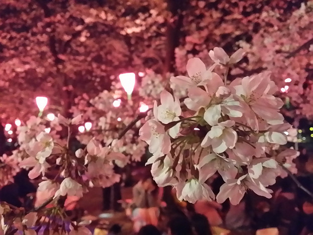 resize8873 写真: resize8873