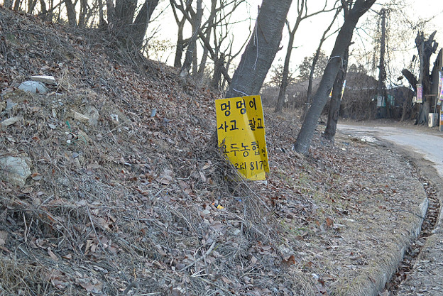 resize8517 写真: resize8517