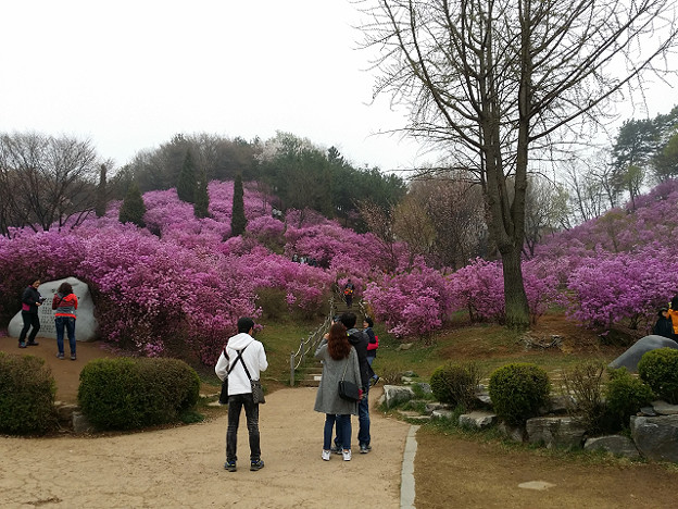 resize8999 写真: resize8999