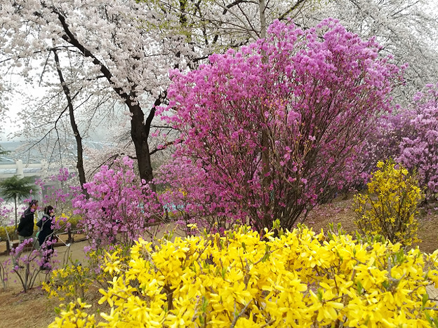 resize9002 写真: resize9002
