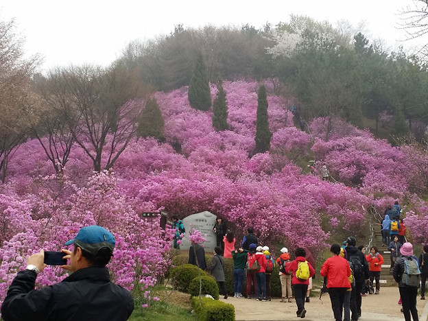 resize9008 写真: resize9008