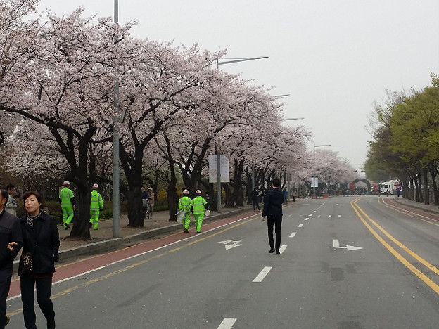 resize9013 写真: resize9013