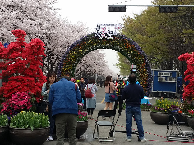 resize9014 写真: resize9014