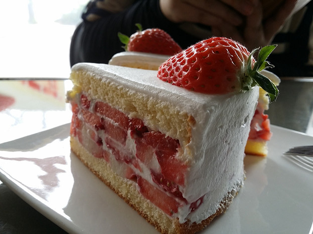 resize9052 写真: resize9052