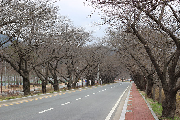 resize9266 写真: resize9266