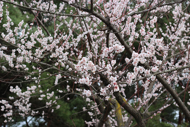 resize9280 写真: resize9280
