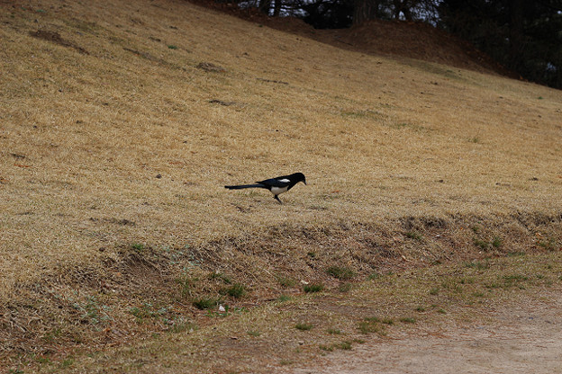 resize9290 写真: resize9290