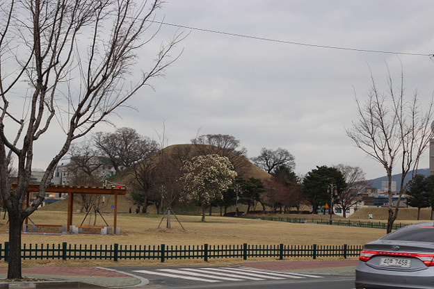 resize9294 写真: resize9294
