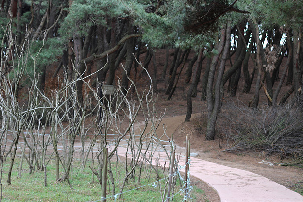 resize9328 写真: resize9328