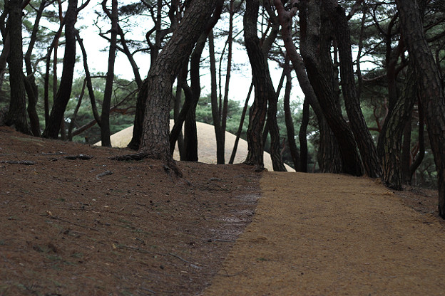 resize9331 写真: resize9331