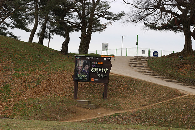 resize9355 写真: resize9355