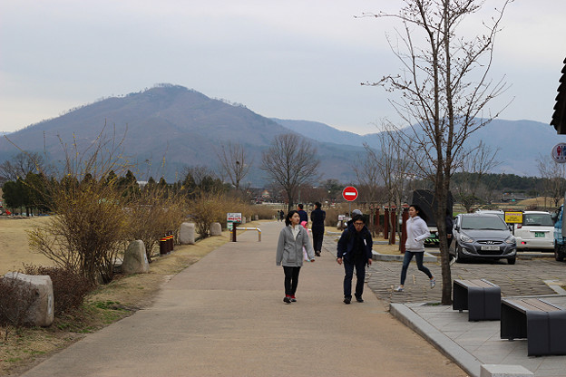 resize9357 写真: resize9357