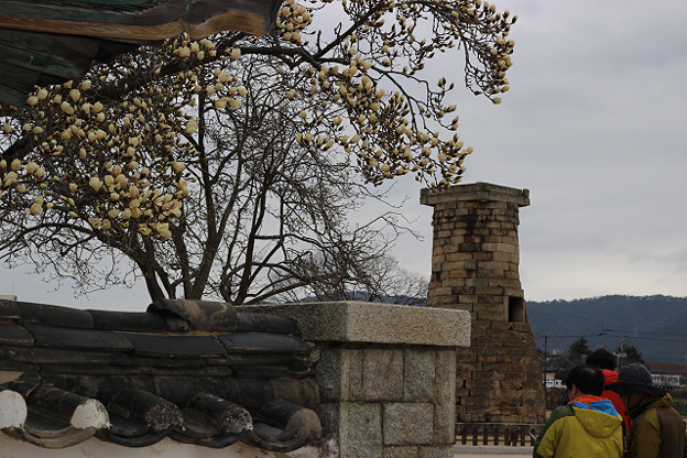 resize9377 写真: resize9377