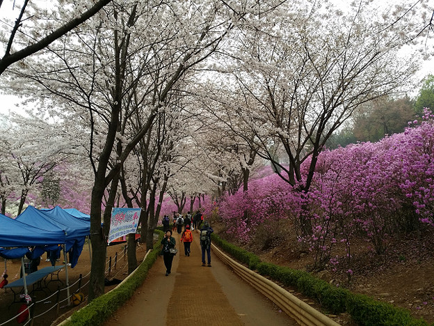resize9750 写真: resize9750