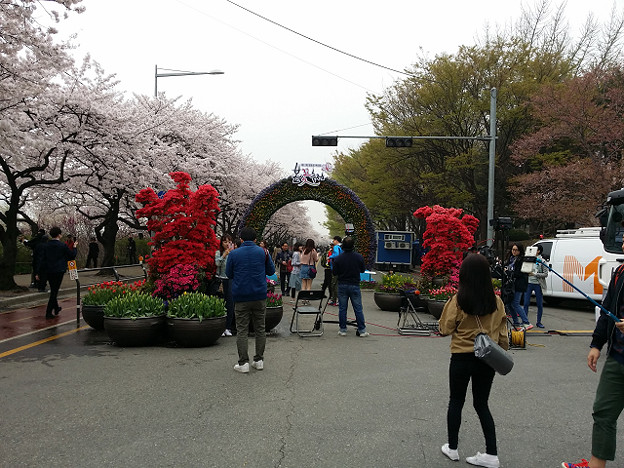 resize9762 写真: resize9762