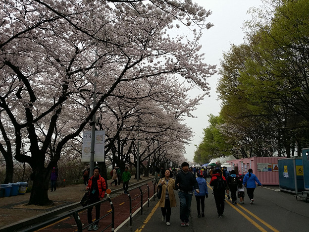 resize9763 写真: resize9763