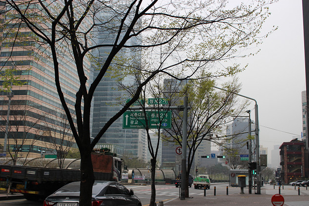 resize9537 写真: resize9537