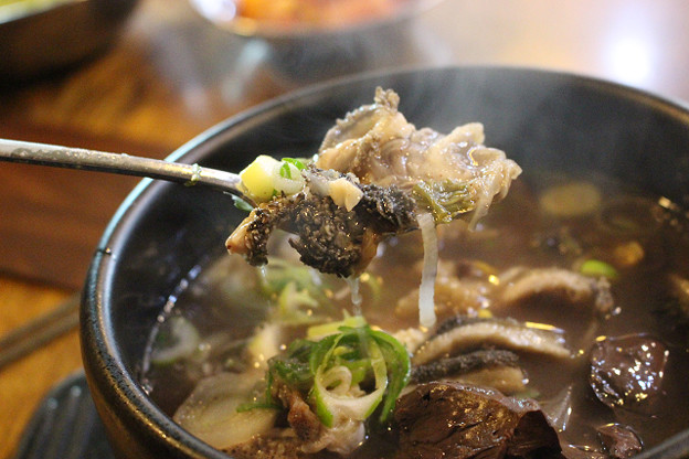 resize9545 写真: resize9545