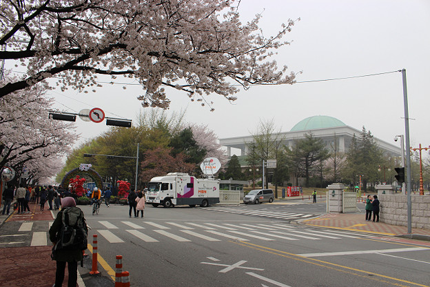 resize9590 写真: resize9590