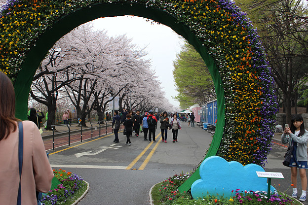 resize9593 写真: resize9593
