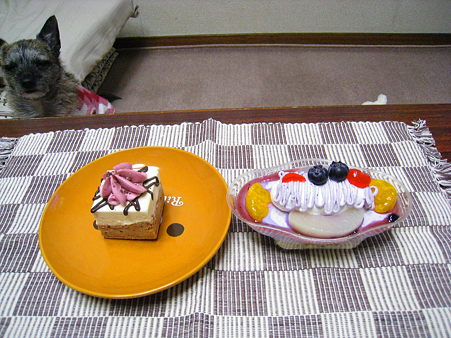 ﾜﾝｺ用誕生日ｹｰｷ