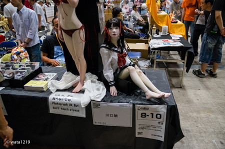 WF2014S 川口敏