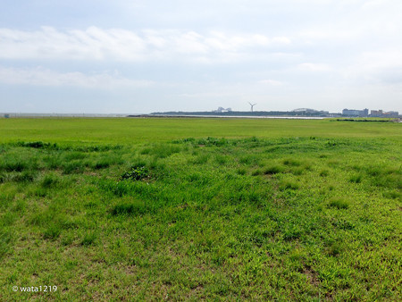 平日の葛西臨海公園1