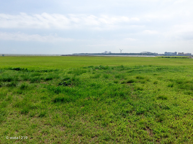Photos: 平日の葛西臨海公園5