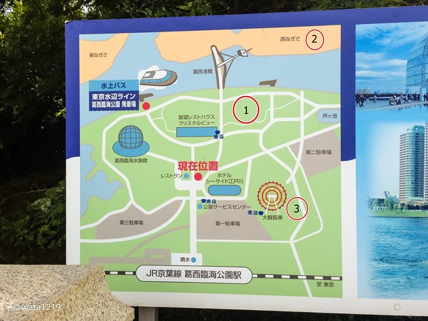 Photos: 平日の葛西臨海公園6
