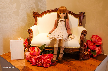 IMGP4143