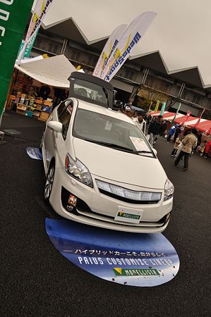 MODELLISTA PRIUS