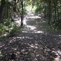 千葉県富津市内裏塚古墳 千葉県富津市内裏塚古墳