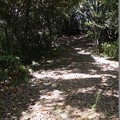 千葉県富津市内裏塚古墳 千葉県富津市内裏塚古墳
