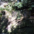 DVC00012 DVC00012