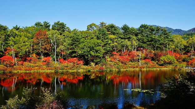 志賀高原一沼紅葉２０１４ ９ ２７ 1500x8 写真共有サイト フォト蔵